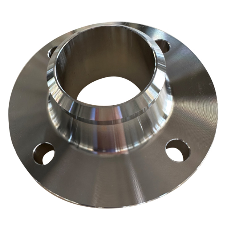 Stainless Steel 304 Flat Welding Flange